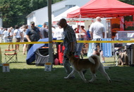 - 2015.07.12. Szombathely Night CAC & Szombathely CACIB