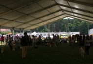 - 2015.07.12. Szombathely Night CAC & Szombathely CACIB