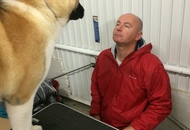 OMÉK GRAND PRIX Budapest 2xCAC Show 