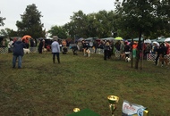 OMÉK GRAND PRIX Budapest 2xCAC Show 