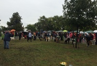 OMÉK GRAND PRIX Budapest 2xCAC Show 