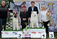 OMÉK GRAND PRIX Budapest 2xCAC Show 