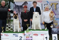 OMÉK GRAND PRIX Budapest 2xCAC Show 