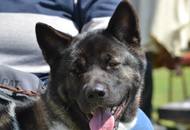 Alisha of Danger Zone