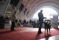 CACIB Zagreb International Dog Show