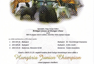 Komárom - International Dogshow with Cruft’s qualification