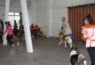 CAC Special Dog Show, Tihany