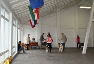 CAC Special Dog Show, Tihany