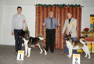 CAC Special Dog Show, Tihany