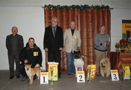 CAC Special Dog Show, Tihany