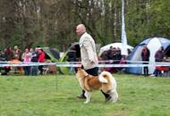 Hunting Dog CAC Show Kaposvár – 09.04.2016