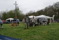 Hunting Dog CAC Show Kaposvár – 09.04.2016