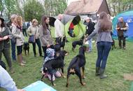Hunting Dog CAC Show Kaposvár – 09.04.2016