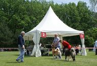 CACIB Varasdin - 28-29.05.2016. 2 x International Dog Show