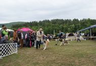 14-15-16.05.2016 Szilvásvárad-Bélapátfalva 3xCACIB International Dog Show