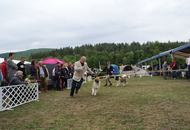 14-15-16.05.2016 Szilvásvárad-Bélapátfalva 3xCACIB International Dog Show