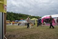 14-15-16.05.2016 Szilvásvárad-Bélapátfalva 3xCACIB International Dog Show