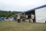 14-15-16.05.2016 Szilvásvárad-Bélapátfalva 3xCACIB International Dog Show