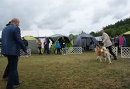 14-15-16.05.2016 Szilvásvárad-Bélapátfalva 3xCACIB International Dog Show