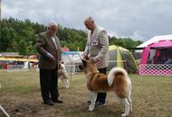 14-15-16.05.2016 Szilvásvárad-Bélapátfalva 3xCACIB International Dog Show