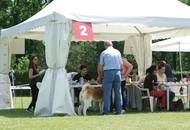 CACIB Varasdin - 28-29.05.2016. 2 x International Dog Show