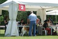 CACIB Varasdin - 28-29.05.2016. 2 x International Dog Show