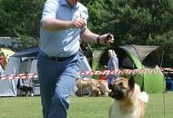 CACIB Varasdin - 28-29.05.2016. 2 x International Dog Show