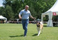CACIB Varasdin - 28-29.05.2016. 2 x International Dog Show
