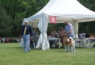 CACIB Varasdin - 28-29.05.2016. 2 x International Dog Show