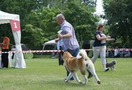 CACIB Varasdin - 28-29.05.2016. 2 x International Dog Show