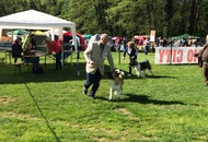 CACIB Maribor 16.04.2016.