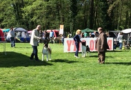 CACIB Maribor 16.04.2016.