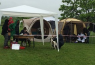 CAC Novi Marof - National Dog Show