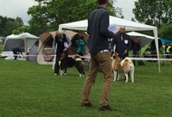 CAC Novi Marof - National Dog Show
