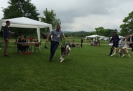 CAC Novi Marof - National Dog Show