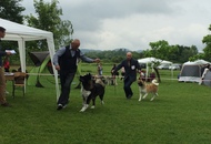 CAC Novi Marof - National Dog Show