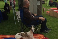 CAC Novi Marof - National Dog Show