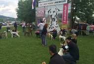 CAC Novi Marof - National Dog Show