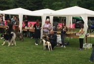 CAC Novi Marof - National Dog Show