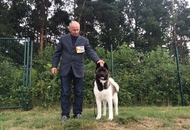 -17. CACIB Oberwart, Night CAC Szombathely, CACIB Szombathely