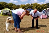 International Dog Show Kecskemét 