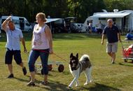 International Dog Show Kecskemét 
