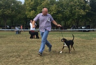 International Dog Show Kecskemét 