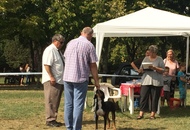 International Dog Show Kecskemét 