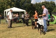 International Dog Show Kecskemét 