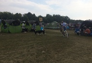 International Dog Show Kecskemét 