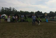 International Dog Show Kecskemét 