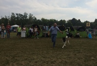 International Dog Show Kecskemét 