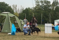 International Dog Show Kecskemét 