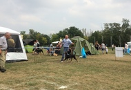International Dog Show Kecskemét 